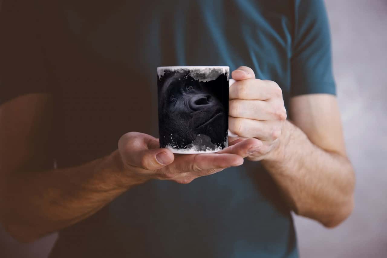 531771556_TASSE0SEmRqd7WTjPY_1280x1280.jpg