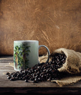 535812316_TASSE_1280x1280.jpg