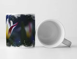 537370738_TASSE2WTwhPj6pe5TE_1280x1280.jpg