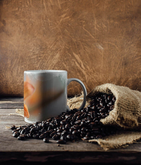 550093300_TASSE_1280x1280.jpg