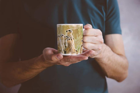 55167352_TASSEDQDtkdJkKe4Sk_1280x1280.jpg