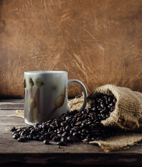 585385766_TASSE_1280x1280.jpg