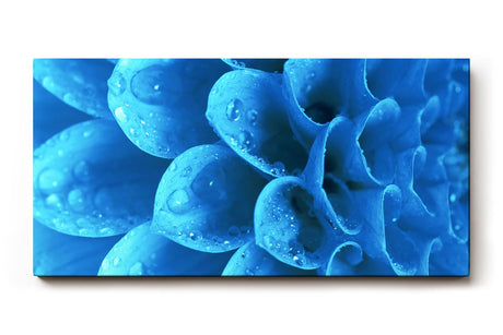 Sinus Art Wandbild 120x80cm Die Tropfen auf der blauen Blüte bringen Frische, Eleganz und Tiefe in den Raum