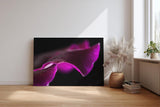 Sinus Art Wandbild 120x80cm Extreme Nahaufnahme eines Blütenblatts mit sattem Lila auf dunklem Grund