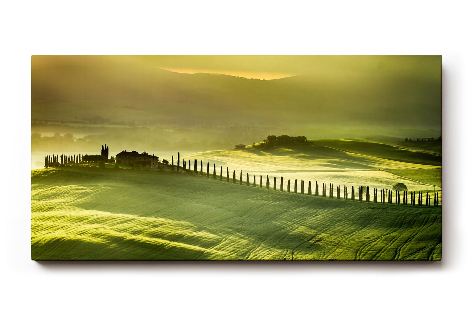 Sinus Art Wandbild 120x80cm Tief liegendes Licht über grünen Hügeln mit typischer Zypressenallee und Bauernhof