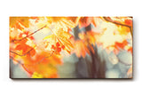 Sinus Art Wandbild 120x80cm Warmes Herbstlaub im Licht für stimmungsvolle und behagliche Wohnatmosphäre