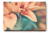 Sinus Art Wandbild 120x80cm Weichgezeichnete Nahaufnahme einer pastellfarbenen Blüte mit romantischer Stimmung
