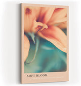 Paul Sinus Kunstdruck 40x60cm Soft Bloom mit zarter Blüte in Nahaufnahme
