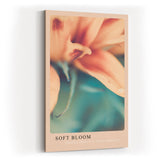 Paul Sinus Kunstdruck 40x60cm Soft Bloom mit zarter Blüte in Nahaufnahme