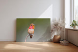 Sinus Art Wandbild 120x80cm Faszinierendes Kolibri-Motiv mit warmen Tönen auf ruhigem Hintergrund für naturnahe Ästhetik