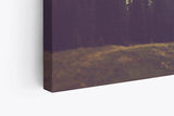 Paul Sinus Wandbild 120x80cm Berglandschaft Tannenwald Berge Natur Landschaft Bäume