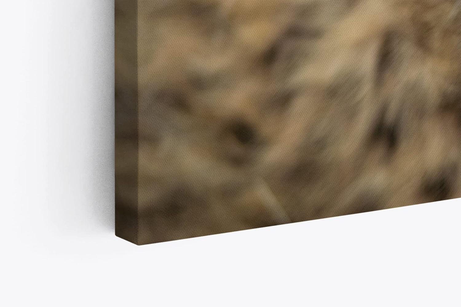 Paul Sinus Wandbild 120x80cm Kleiner Gepard Babygepard Katze Babykatze Tierfotografie