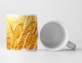 613581866_TASSE47NaulGaoA3on_1280x1280.jpg