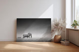Sinus Art Wandbild 120x80cm Stimmungsvolle Szene mit Elefant und Zebra in weiter Graslandschaft als Symbol für Harmonie