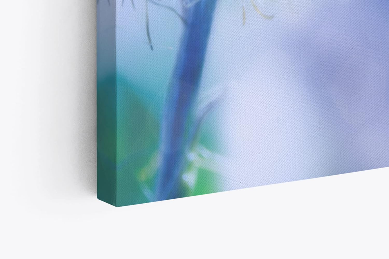 Paul Sinus Wandbild 120x80cm Pusteblume Löwenzahn Blau Kunstvoll Nahaufnahme