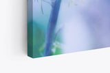 Paul Sinus Wandbild 120x80cm Pusteblume Löwenzahn Blau Kunstvoll Nahaufnahme