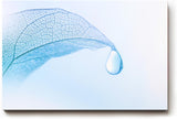 Sinus Art Wandbild 120x80cm Zartes Blattgewebe in kühlem Blau mit Tautropfen – ideal für ruhige Raumgestaltung