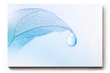 Sinus Art Wandbild 120x80cm Zartes Blattgewebe in kühlem Blau mit Tautropfen – ideal für ruhige Raumgestaltung