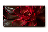 Sinus Art Wandbild 120x80cm Modernes Pflanzendetail mit ausdrucksstarken Formen und leuchtender Linienführung