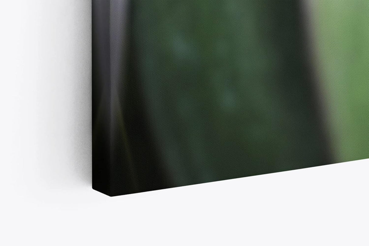 Paul Sinus Wandbild 120x80cm Makrofotografie Blume Blüte Blätter Nahaufnahme
