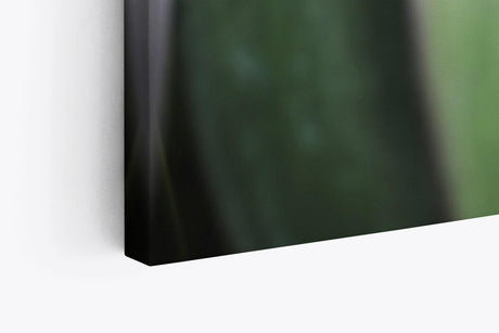 Paul Sinus Wandbild 120x80cm Makrofotografie Blume Blüte Blätter Nahaufnahme