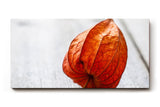 Sinus Art Wandbild 120x80cm Ruhiges Naturmotiv mit physalisähnlicher Blüte auf rustikalem Holzuntergrund