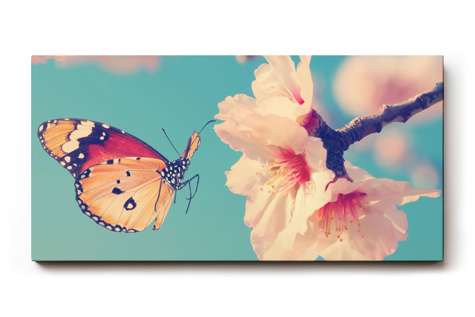 Sinus Art Wandbild 120x80cm Frühlingshaftes Motiv mit Schmetterling an rosa Blüte auf hellblauem Hintergrund
