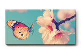 Sinus Art Wandbild 120x80cm Frühlingshaftes Motiv mit Schmetterling an rosa Blüte auf hellblauem Hintergrund