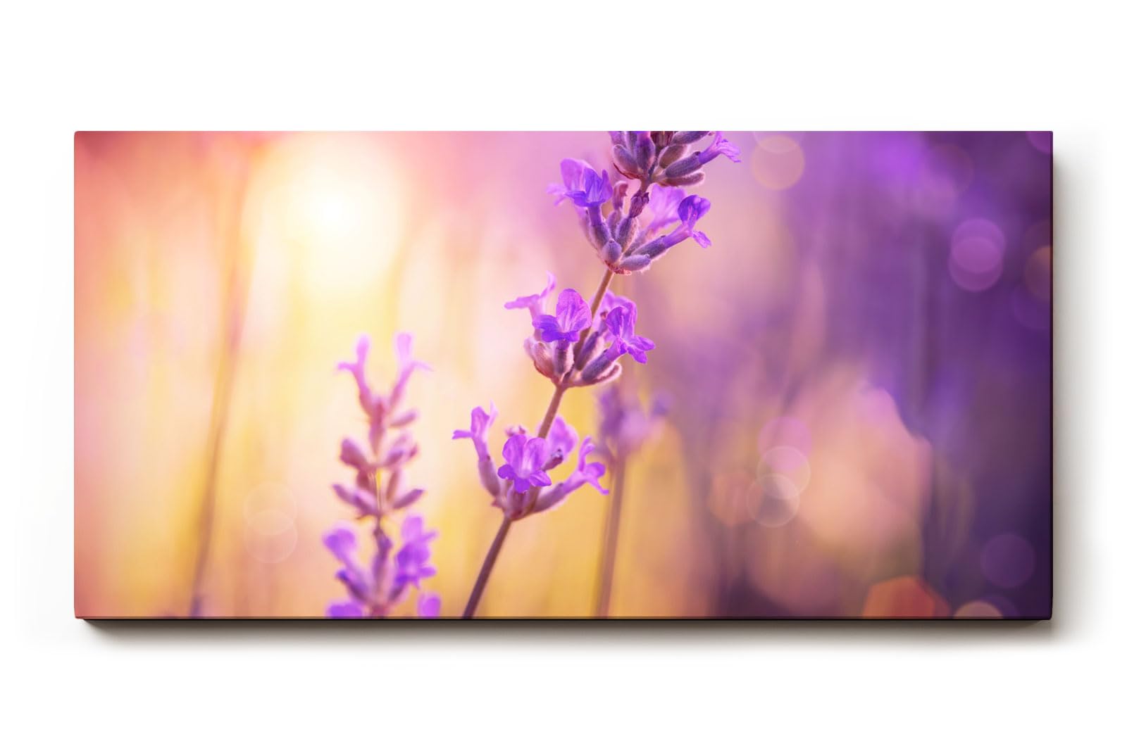 Sinus Art Wandbild 120x80cm Stimmungsvolles Lavendel-Motiv mit leuchtenden Farben auf harmonischem Hintergrund
