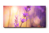 Sinus Art Wandbild 120x80cm Stimmungsvolles Lavendel-Motiv mit leuchtenden Farben auf harmonischem Hintergrund