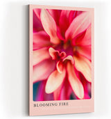 Paul Sinus Kunstdruck 40x60cm Blooming Fire mit feuriger Blüte in intensiven Rottönen