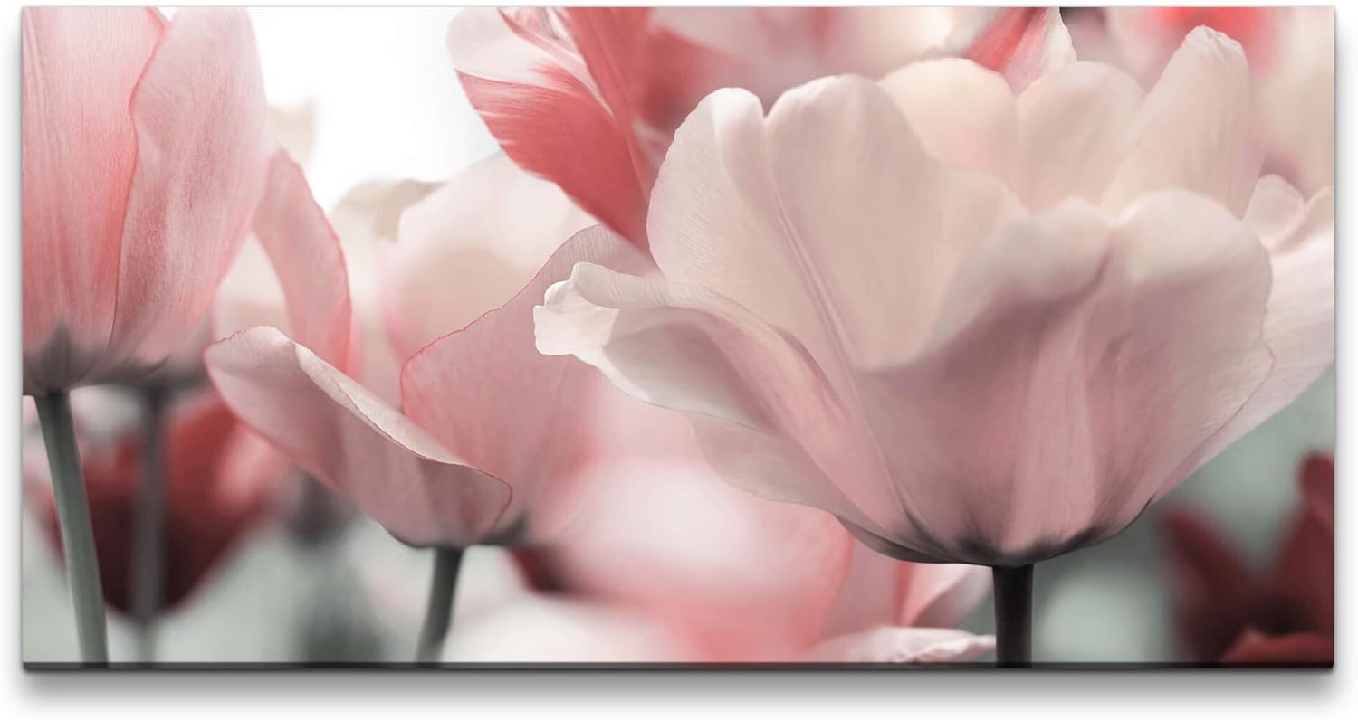 Tulpen ca. 130x70cm Wandbild inklusive Schattenfugenrahmen schwarz - Panorama Leinwand Bild XXL Format Wandbilder Wohnzimmer Wohnung Deko Kunstdrucke