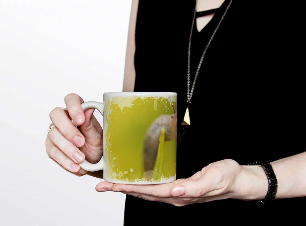 616816076_TASSE18TjOs8QLB0PZ_1280x1280.jpg