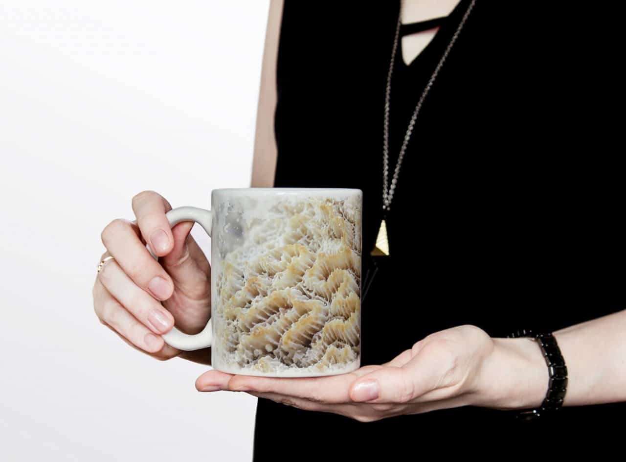 616926491_TASSE8h6kOVDwER6z6_1280x1280.jpg