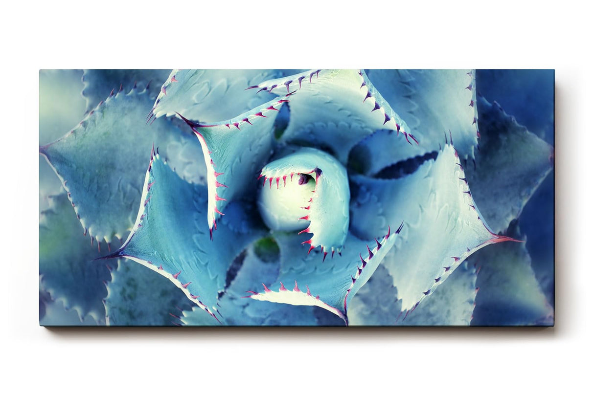 Sinus Art Wandbild 120x80cm Die symmetrische Form der Agavenblätter wirkt strukturiert, ästhetisch und beruhigend