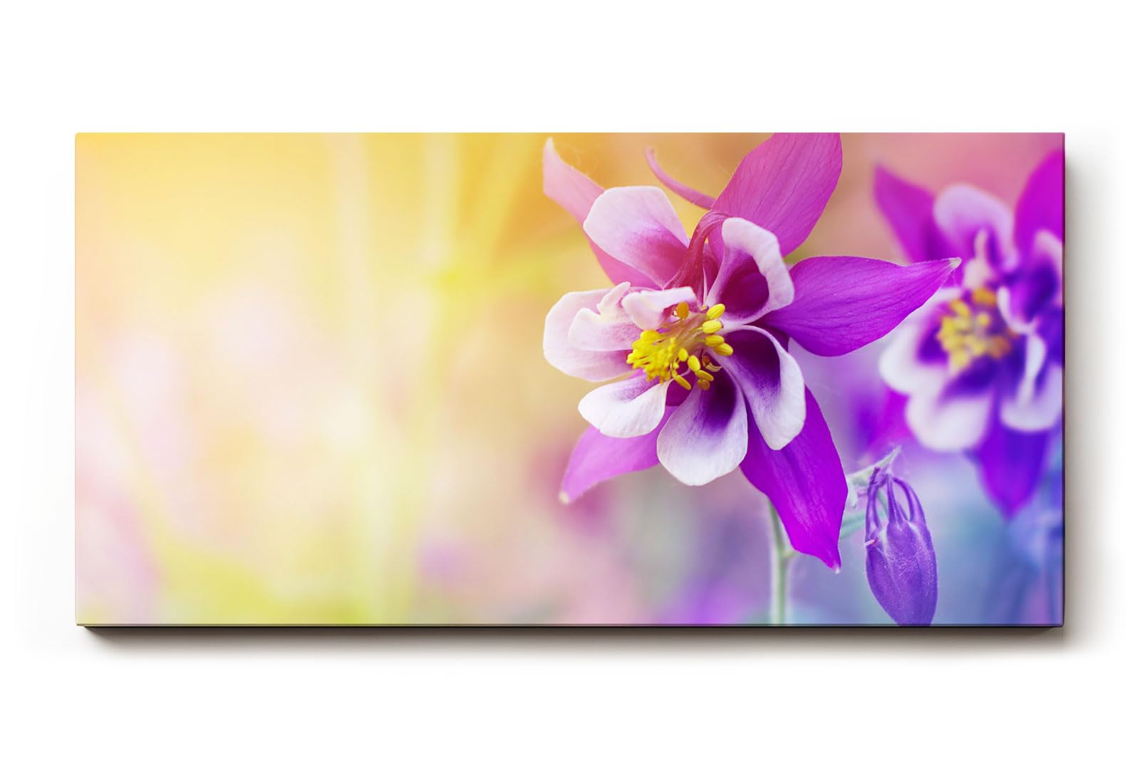 Sinus Art Wandbild 120x80cm Faszinierende Nahaufnahme einer violetten Blüte mit harmonischem Farbverlauf