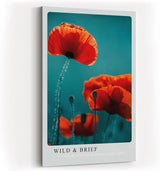Paul Sinus Kunstdruck 40x60cm Mohnblumenfeld Natur Makro Leuchtkraft Blüte Poesie Wild and Brief