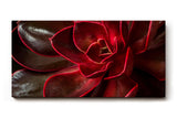 Sinus Art Wandbild 120x80cm Tiefe Rottöne mit natürlichem Glanz und faszinierender Formgebung der Blätter