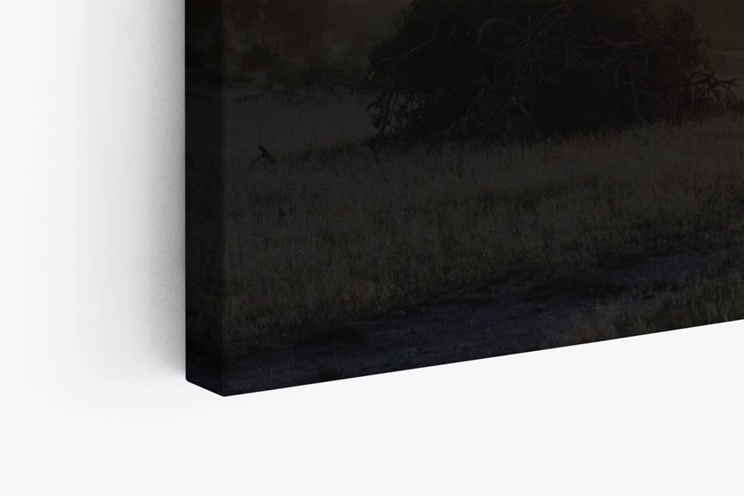 Paul Sinus Wandbild 120x80cm Burkea Bäume Afrika Sonnenuntergang Natur Wildnis
