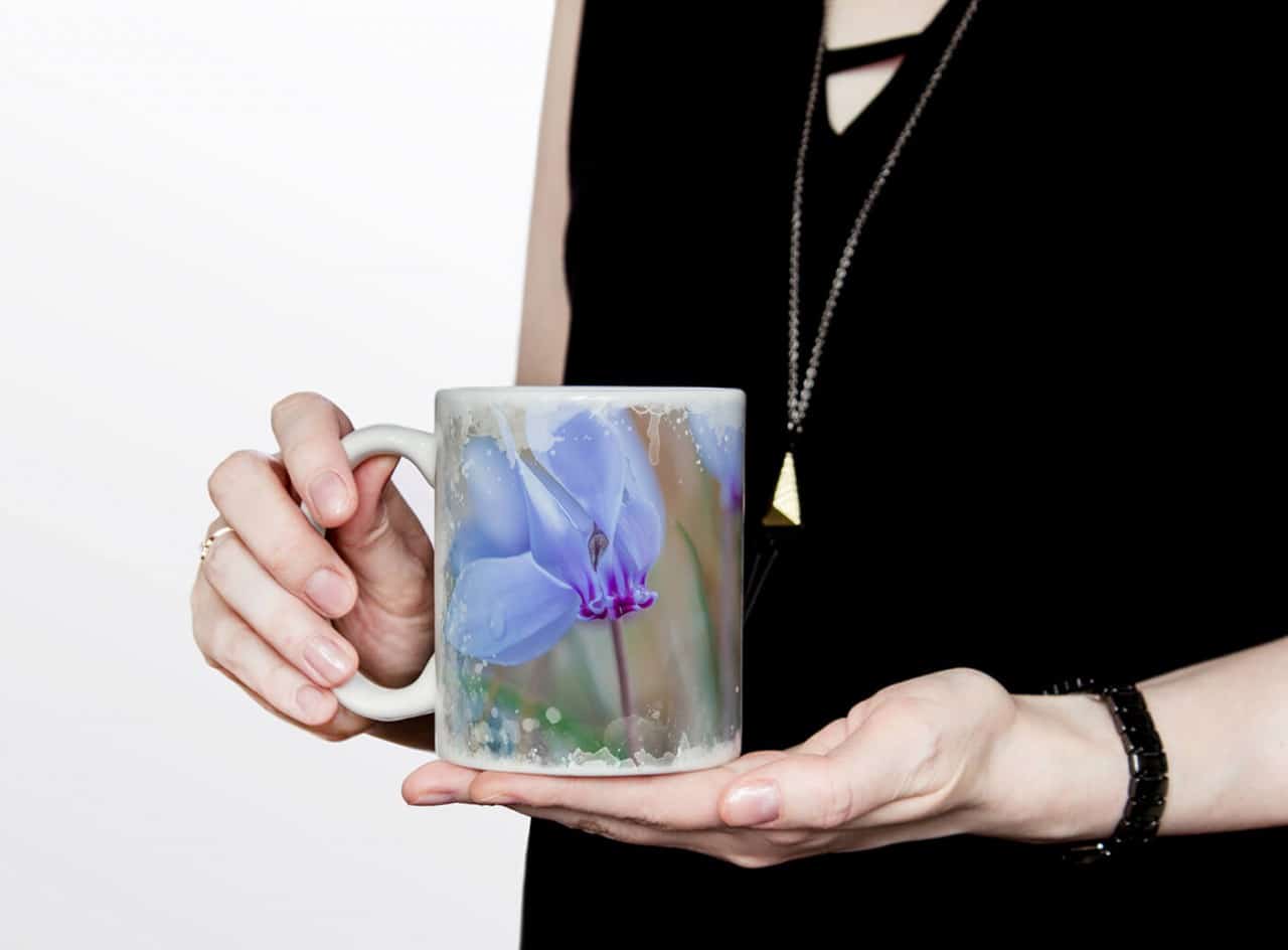 618760049_TASSE9ogeKQzodRJx6_1280x1280.jpg
