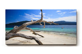 Sinus Art Wandbild 120x80cm Faszinierendes Motiv mit Treibholz am weißen Sandstrand vor türkisfarbenem Meer