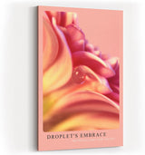 Paul Sinus Kunstdruck 40x60cm Blume Tropfen Makro Rosa Licht Nahaufnahme Droplet's Embrace