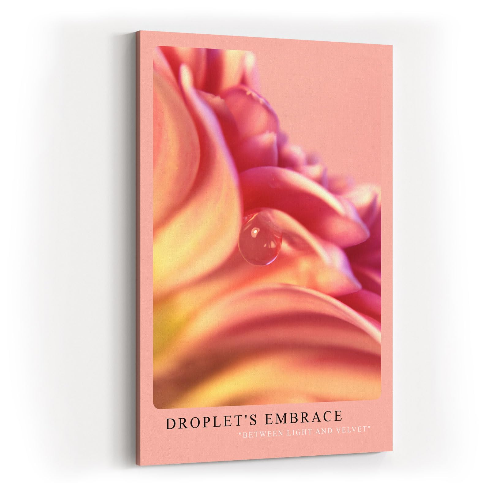 Paul Sinus Kunstdruck 40x60cm Blume Tropfen Makro Rosa Licht Nahaufnahme Droplet's Embrace