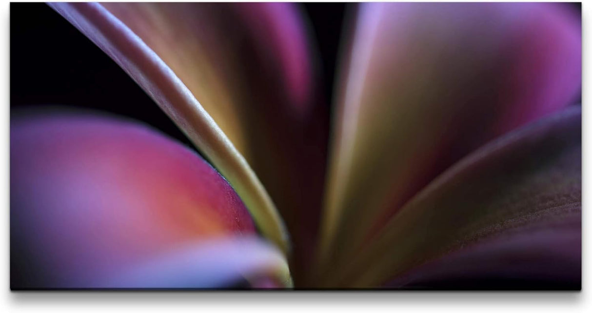 Pflanzen und Blumen ca. 130x70cm Wandbild inklusive Schattenfugenrahmen schwarz - Panorama Leinwand Bild XXL Format Wandbilder Wohnzimmer Wohnung Deko Kunstdrucke