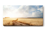 Sinus Art Wandbild 120x80cm Der staubige Weg durch das goldene Feld vermittelt Freiheit, Ruhe und Sommererinnerung