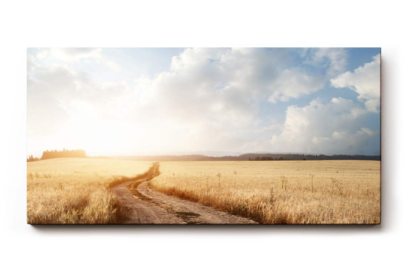 Sinus Art Wandbild 120x80cm Der staubige Weg durch das goldene Feld vermittelt Freiheit, Ruhe und Sommererinnerung