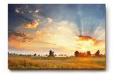 Sinus Art Wandbild 120x80cm Weite Felder im goldenen Abendlicht mit ausdrucksstarkem Himmelspanorama