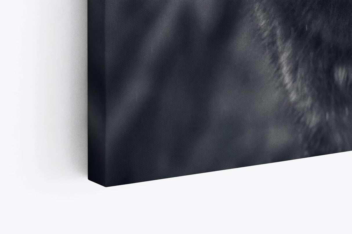 Paul Sinus Wandbild 120x80cm Zwei Wölfe Schwarz Weiß Pärchen Tierfotografie