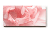 Sinus Art Wandbild 120x80cm Abstrakte Makroperspektive einer Lotusblüte – kunstvoll und symbolisch zugleich