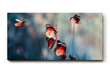 Sinus Art Wandbild 120x80cm Die rot-orange gefärbten Schmetterlinge strahlen Leichtigkeit, Freiheit und Lebendigkeit aus
